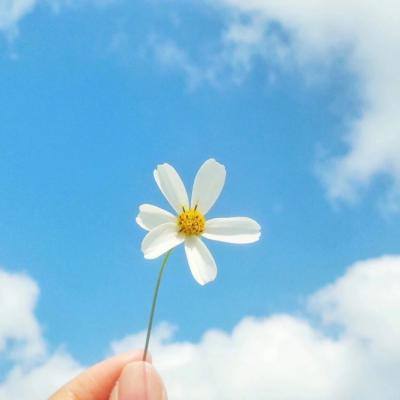 乐彩网app官方正版下载