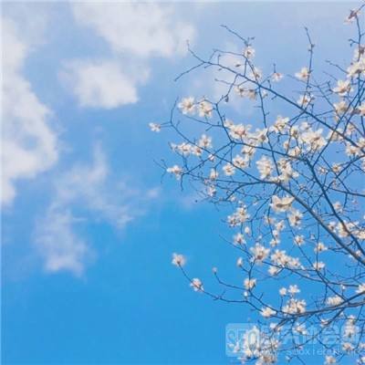 注册就送38的平台app下载