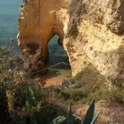 天博平台(中国)官方网站