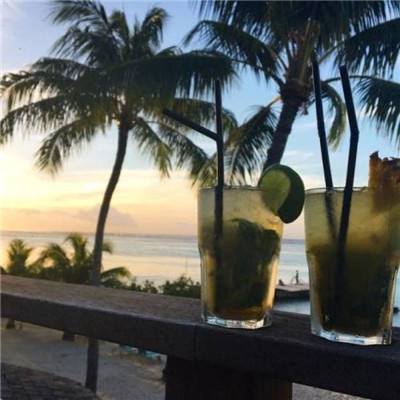 leyu手机版登录入口官网