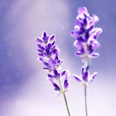 南宫体育app下载app下载