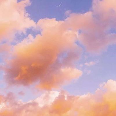 亚洲杯冠亚军竞猜